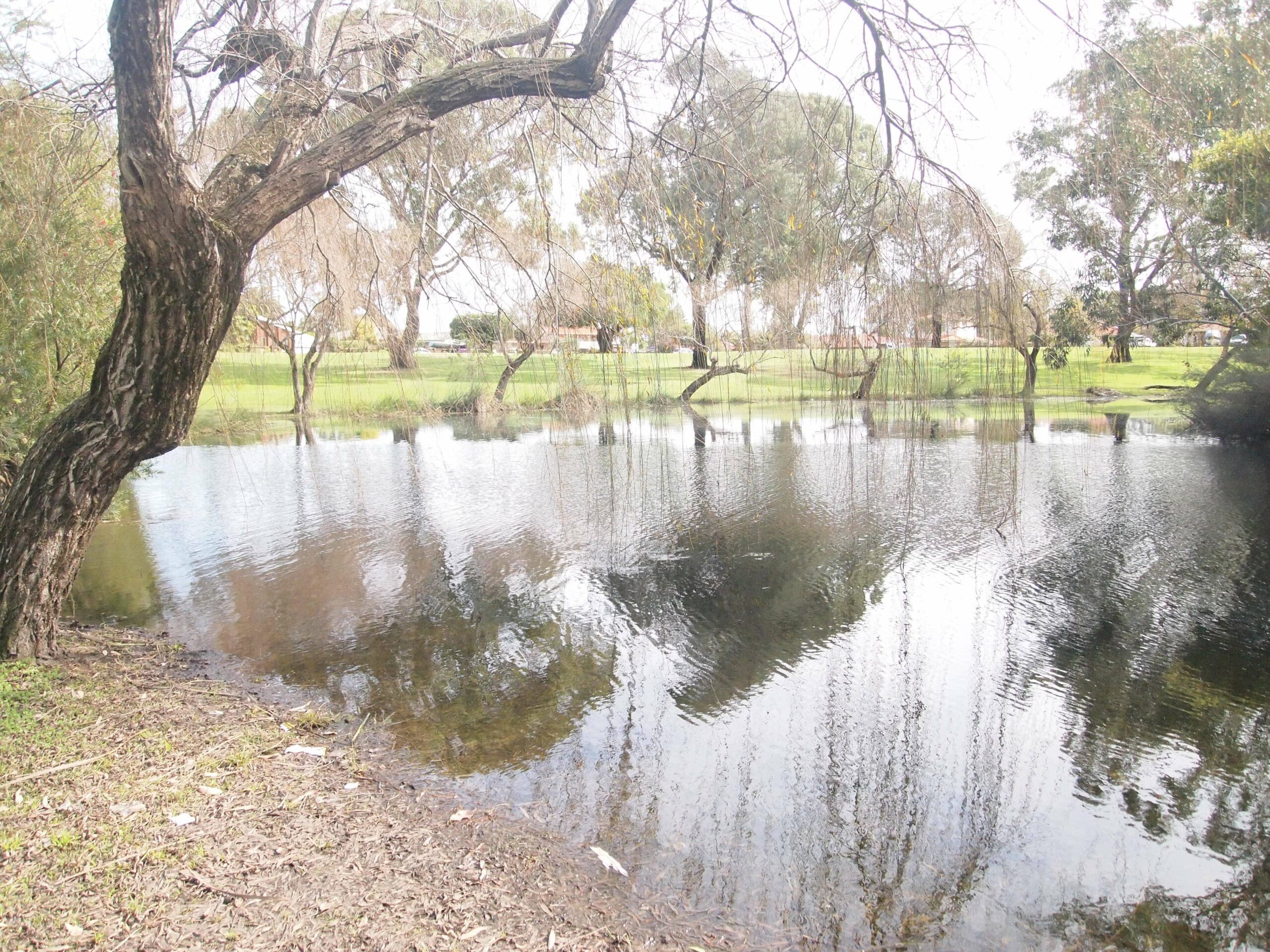 Morley is a suburb of Perth, within the City of Bayswater